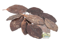 Load image into Gallery viewer, NewCal Mangrove Leaves, 10-Pack