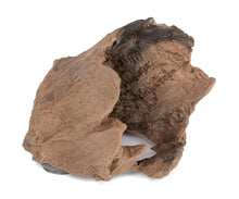 Load image into Gallery viewer, C3 Magnetic Adult Gecko Hide