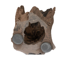 Load image into Gallery viewer, C3 Magnetic Adult Gecko Hide