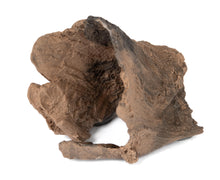 Load image into Gallery viewer, C3 Magnetic Adult Gecko Hide