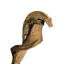 Load image into Gallery viewer, ReptiZoo Artificial Cane Liana 11.8"