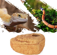 Load image into Gallery viewer, ReptiZoo 3-in-1 Magnetic Attraction Cave