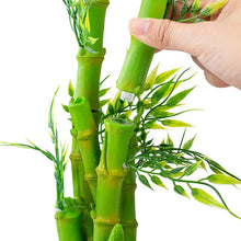 Load image into Gallery viewer, ReptiZoo 2-In-1 Height Adjustable Bamboo Planter Dripper