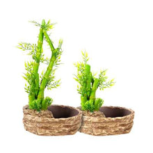 Load image into Gallery viewer, ReptiZoo 2-In-1 Height Adjustable Bamboo Planter Dripper