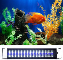 Load image into Gallery viewer, ReptiZoo Terrarium LED Light Hood with Bracket Extenders