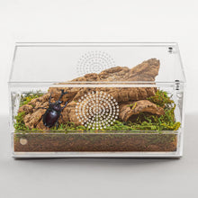 Load image into Gallery viewer, ReptiZoo Acrylic Enclosure with Removable Tray
