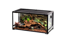 Load image into Gallery viewer, ReptiZoo Knock-Down Super Clear Tempered Glass Terrarium **SHIPPABLE VIA COURIER**