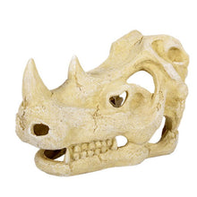 Load image into Gallery viewer, ReptiZoo Rhino Skull