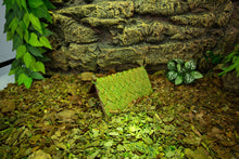 Load image into Gallery viewer, ReptiZoo Colour Changing Leaf Tent Hideout