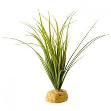 Load image into Gallery viewer, Exo Terra Turtle Grass