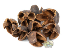 Load image into Gallery viewer, NewCal Bakuli Pods, 1oz.