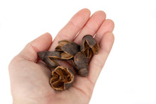 Load image into Gallery viewer, NewCal Bakuli Pods, 1oz.