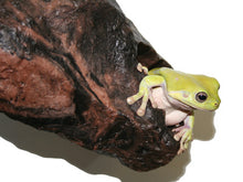 Load image into Gallery viewer, MagNaturals Hideaway