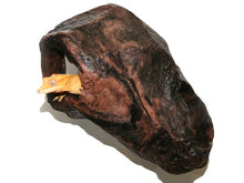 Load image into Gallery viewer, MagNaturals Hideaway