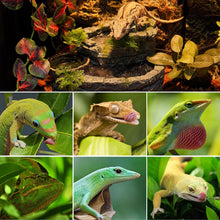 Load image into Gallery viewer, ReptiZoo Reptile Rock Block Waterfall with Food Dish