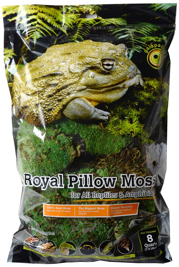 Galapagos Royal Pillow Moss Clumps