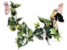 Load image into Gallery viewer, [ID:748N9A]
