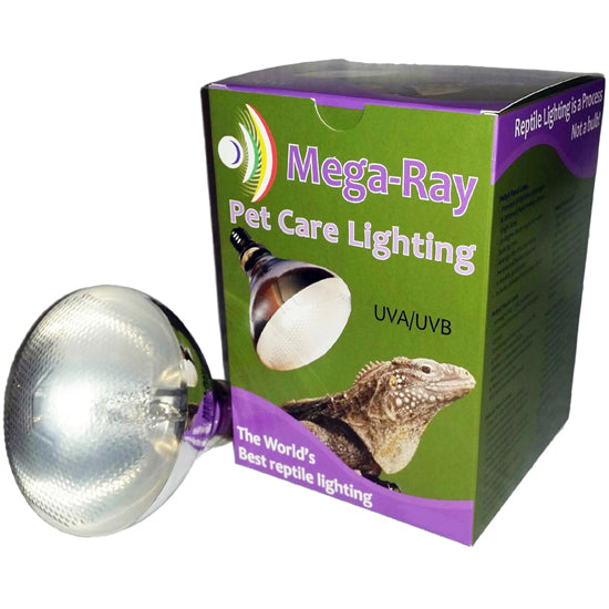 Mega-Ray Self-Ballasted Flood UVB Lamp