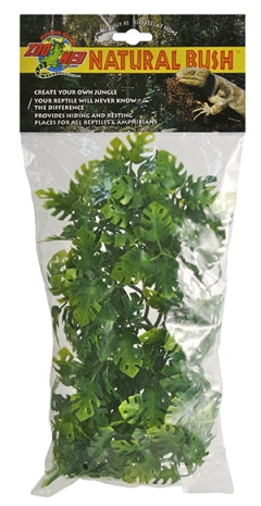 Zoo Med Natural Bush Plants, Amazonian Phyllo