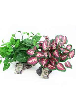 Habi-Scape Tropical Plant on Stone Base