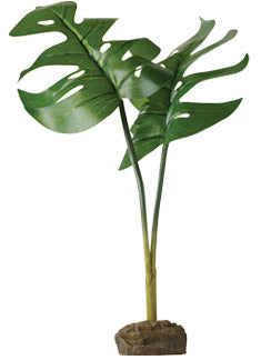 Exo Terra Tree Frog Smart Plant, Philodendron