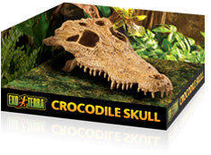 Exo Terra Crocodile Skull