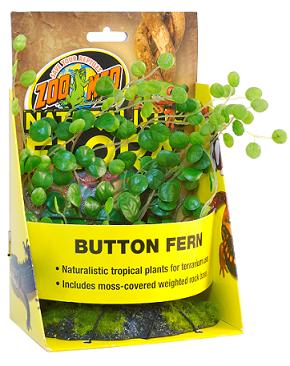 Zoo Med Natural Flora Button Fern