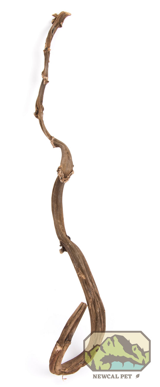 NewCal Monkey Cane (Liana Banana Stick) 24+"