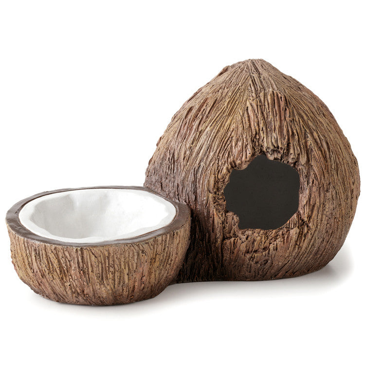 Exo Terra Coconut Hide and Water Dish