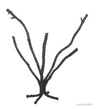 Load image into Gallery viewer, [ID:2LWZ4U]
