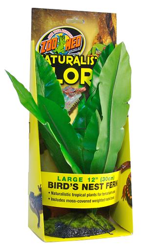 Zoo Med Natural Flora Bird's Nest Fern