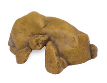 Load image into Gallery viewer, [ID:WFRZ72]
