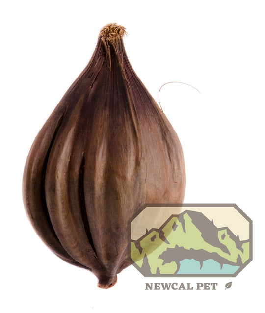 NewCal Nipa Pods, 2 Pack