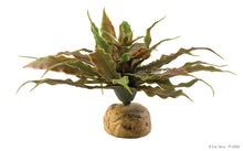 Load image into Gallery viewer, [ID:435Z5M]
