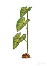 Load image into Gallery viewer, [ID:L41Z5Q]
