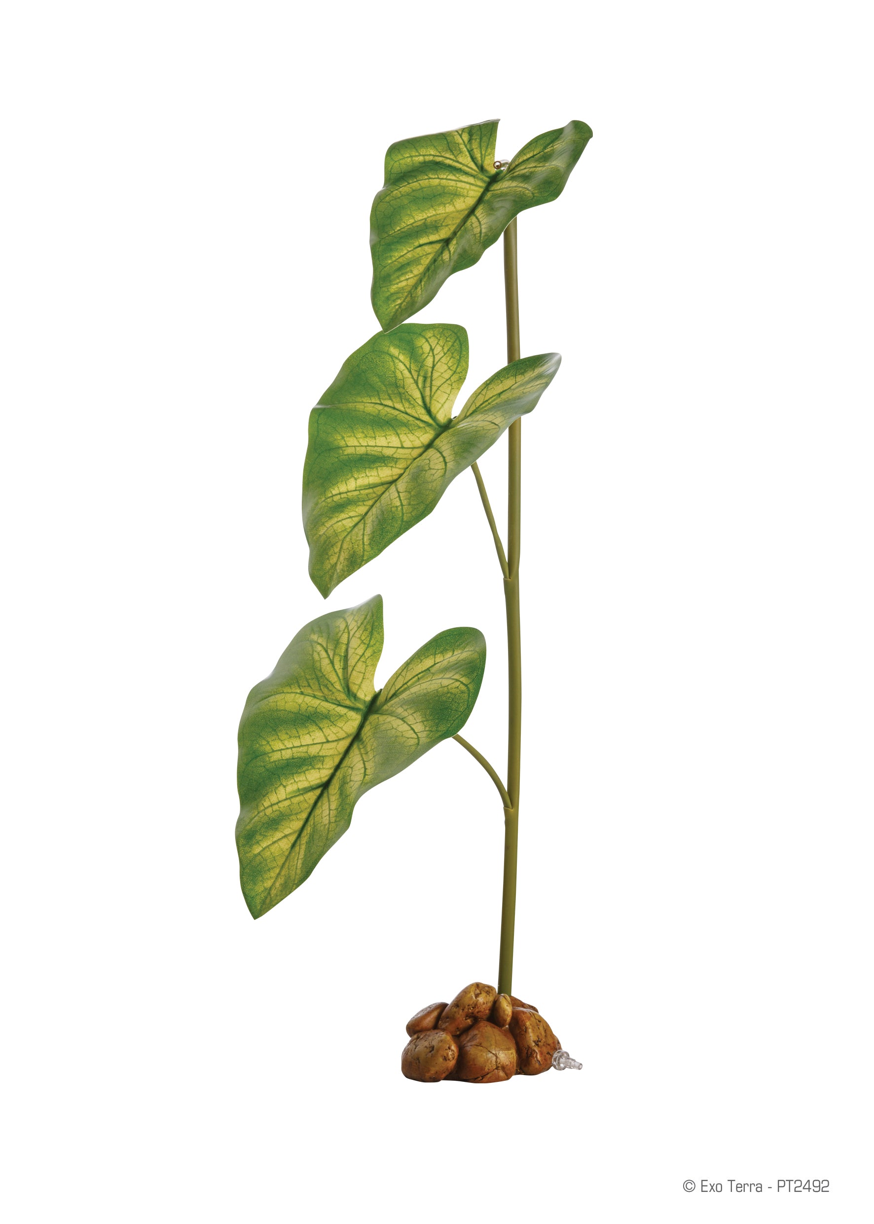 Exo Terra Dripper Plant \ Drip Watering System – Northern Gecko Inc US