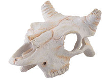 Load image into Gallery viewer, [ID:DAEZ4Z]
