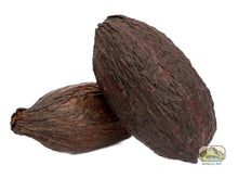 Load image into Gallery viewer, NewCal Cocoa Pod 5-7&quot;

