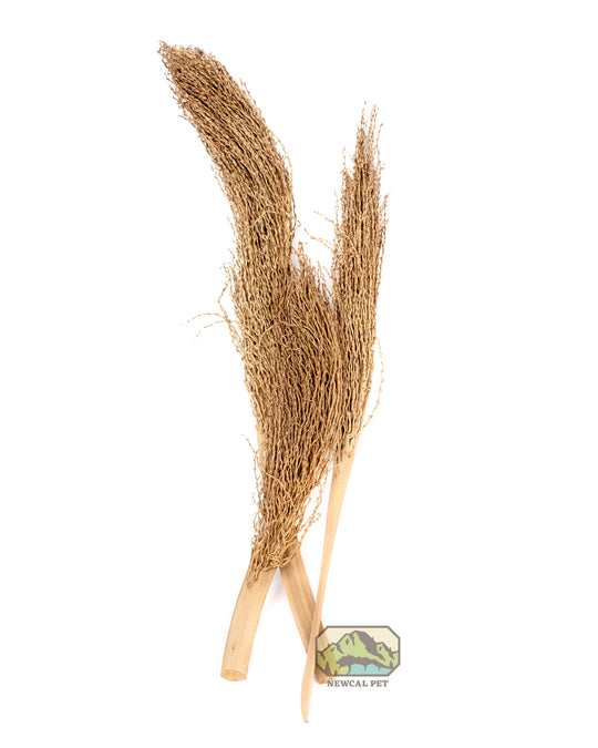 NewCal Palm Torch, 12"