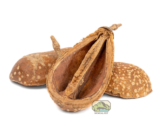 NewCal Pear Pods, 1.5 oz.