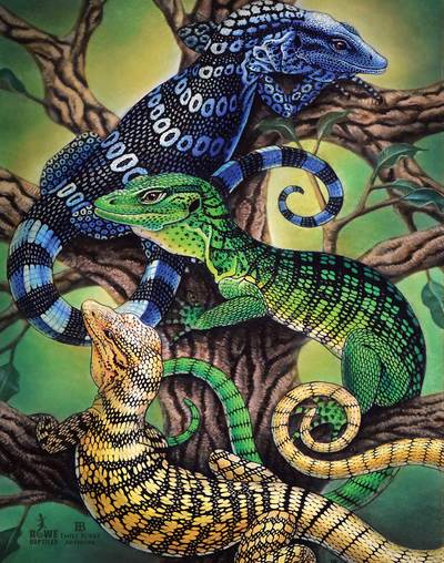 Tree Monitor Print by Emily Burke Artwork