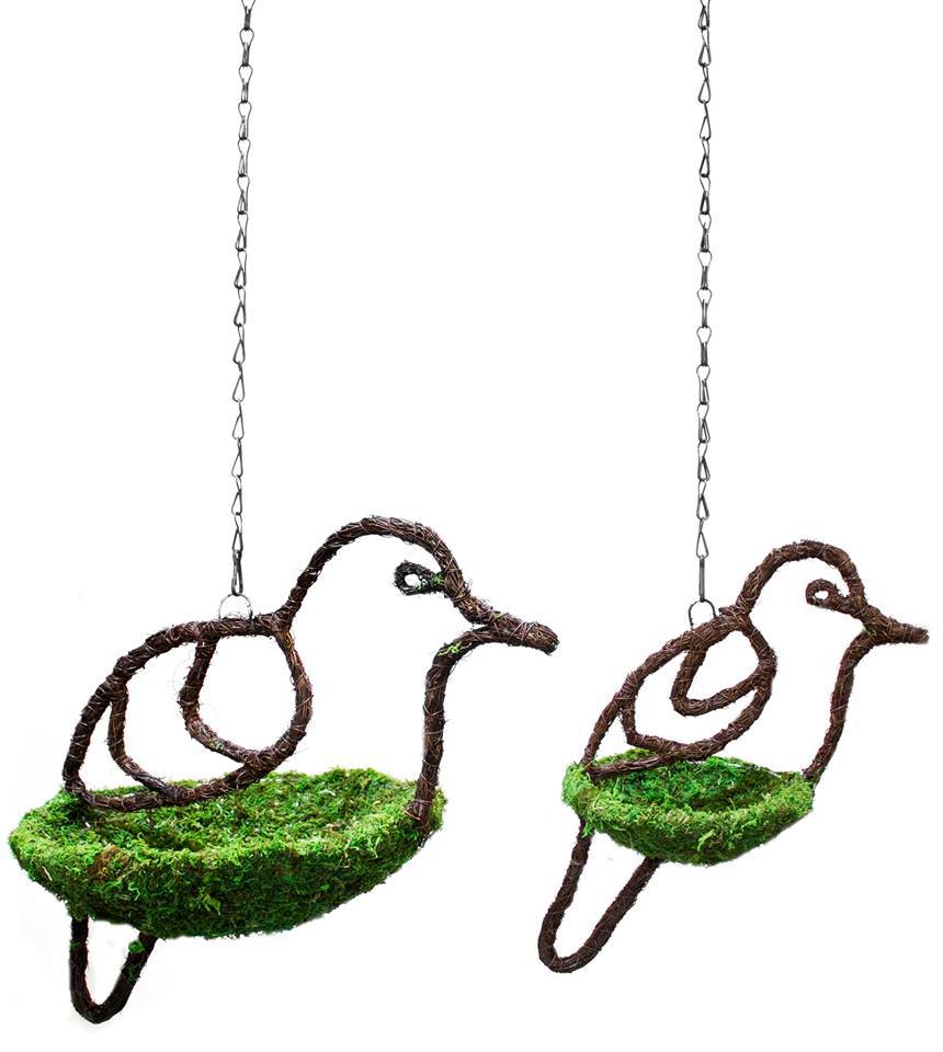 Galapagos Bird Feeder Dove Design