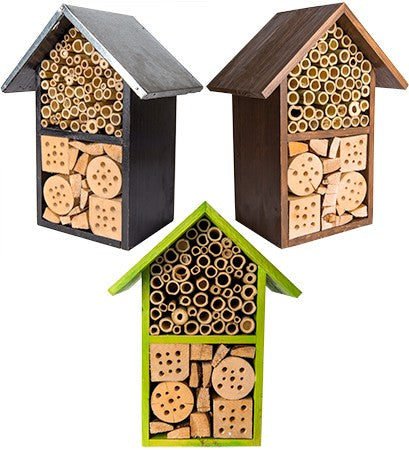 Beneficial Bug House, Tulip