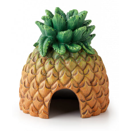 Exo Terra Pineapple Hide