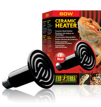 Load image into Gallery viewer, [ID:1D9Z51]
