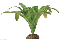 Load image into Gallery viewer, [ID:J7EZ5H]
