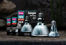 Load image into Gallery viewer, [ID:7IBZ3Q]
