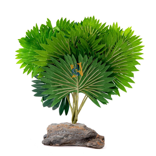 Habi-Scape Mini Fan Palm