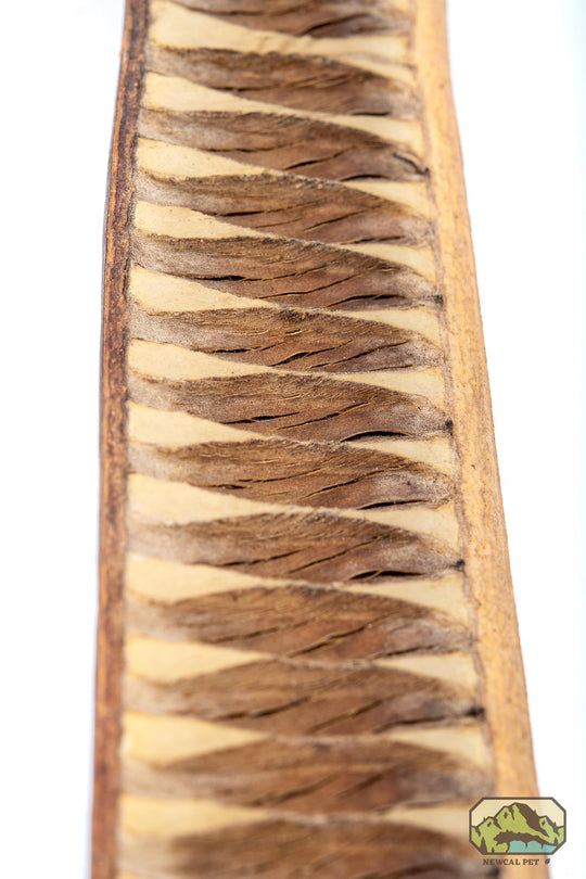 NewCal Step Fruit, 12"