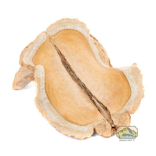 NewCal Frog's Mouth, 3 Pack